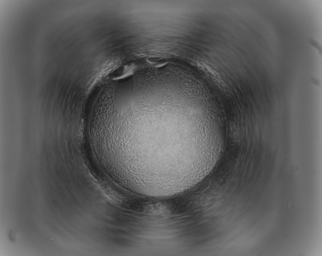 X0000091230735200708301515
