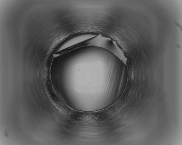 X0000091230736200708301515