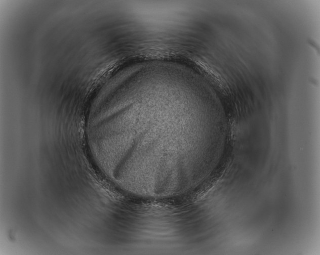 X0000091230737200708301515