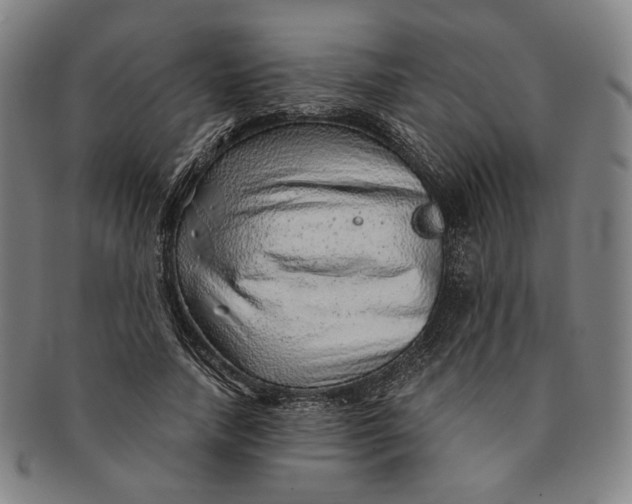 X0000091230738200708301515