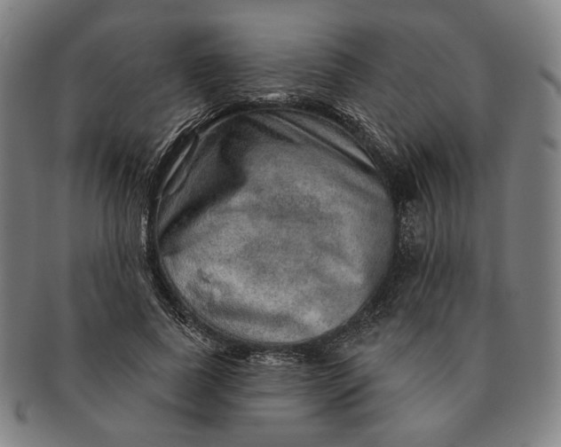X0000091230739200708301515