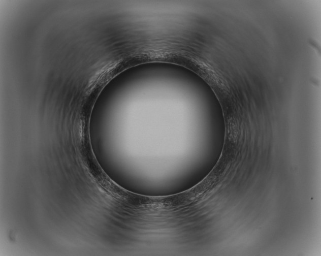 X0000091230740200708301515