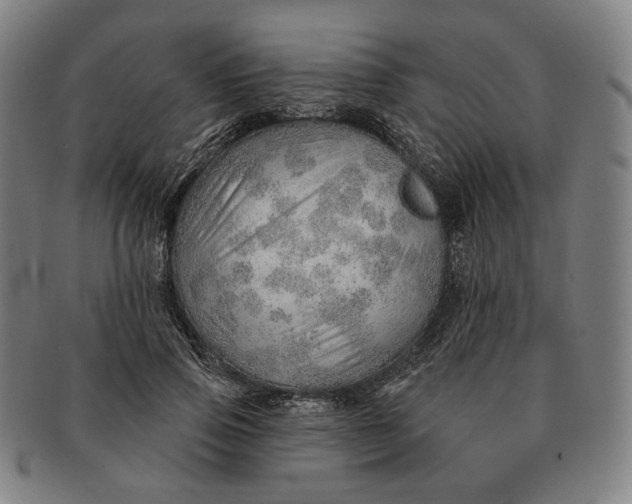 X0000091230741200708301515