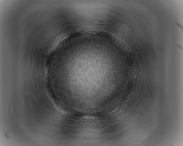 X0000091230742200708301515