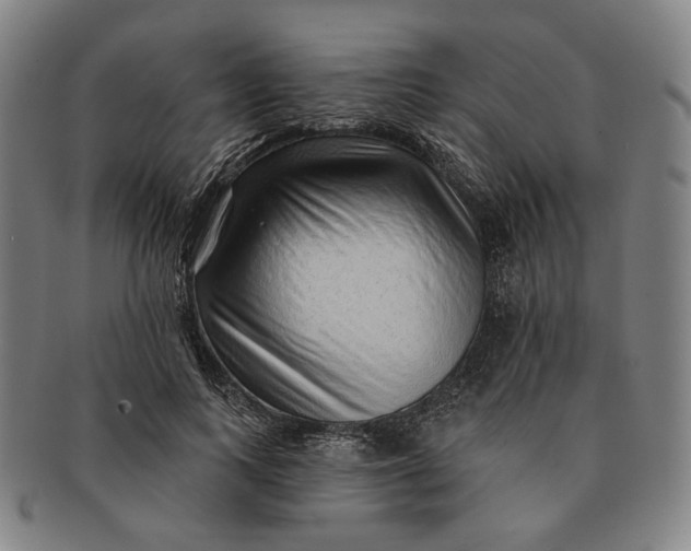 X0000091230743200708301515
