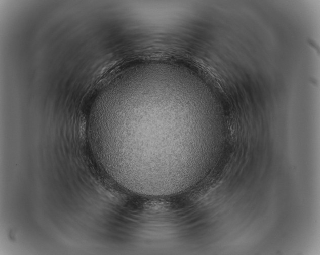 X0000091230745200708301515