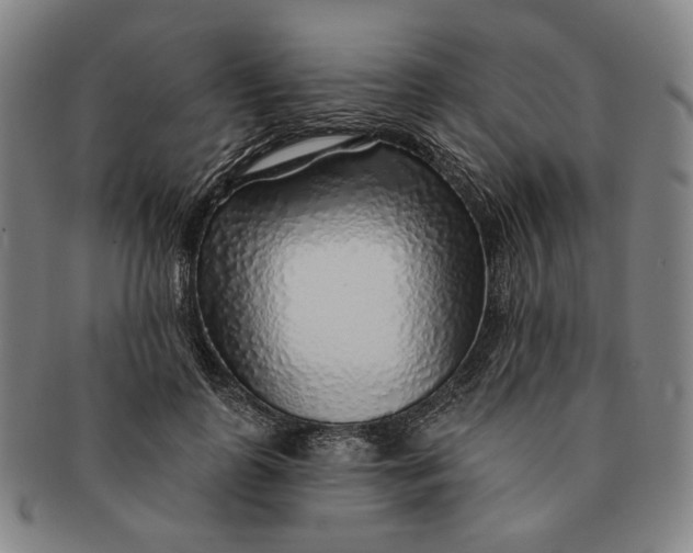 X0000091230747200708301515