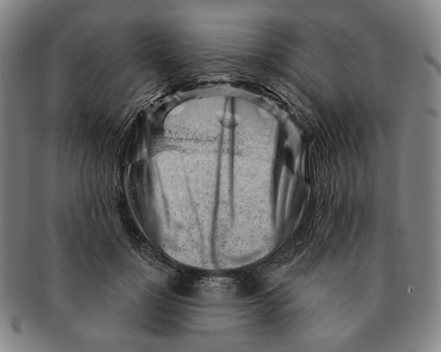X0000091230748200708301515