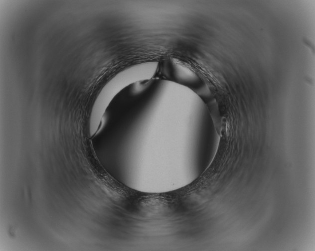 X0000091230750200708301515