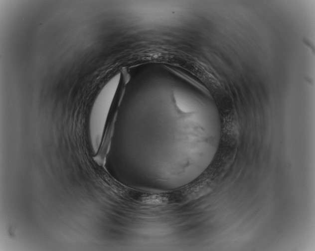 X0000091230754200708301515