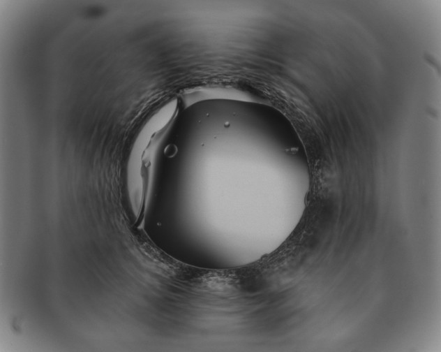 X0000091230756200708301515