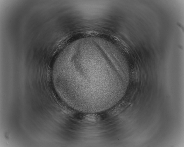 X0000091230757200708301515