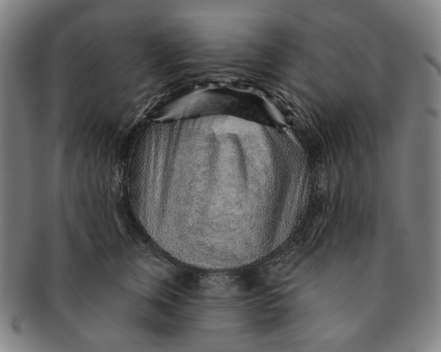 X0000091230759200708301516