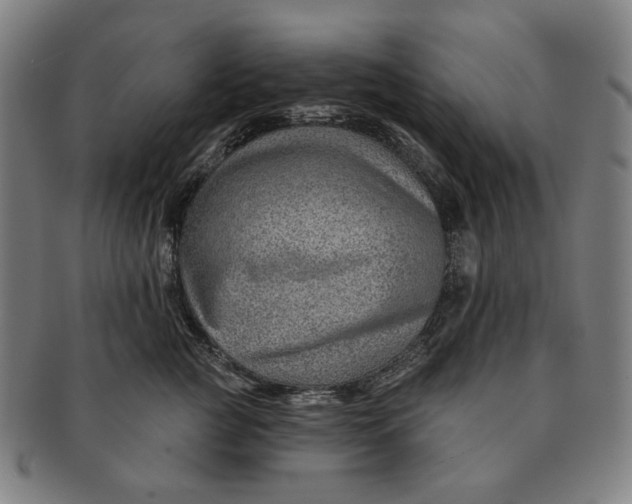 X0000091230761200708301516