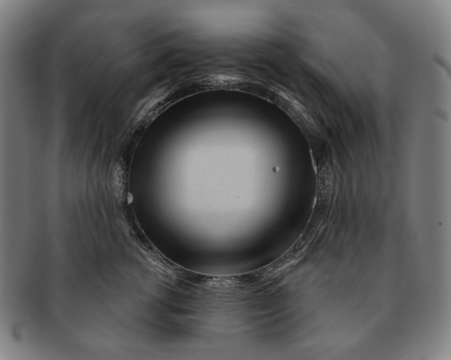 X0000091230762200708301516
