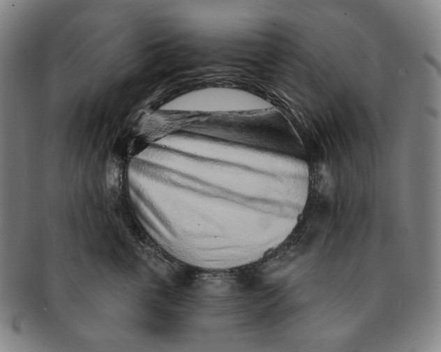 X0000091230763200708301516