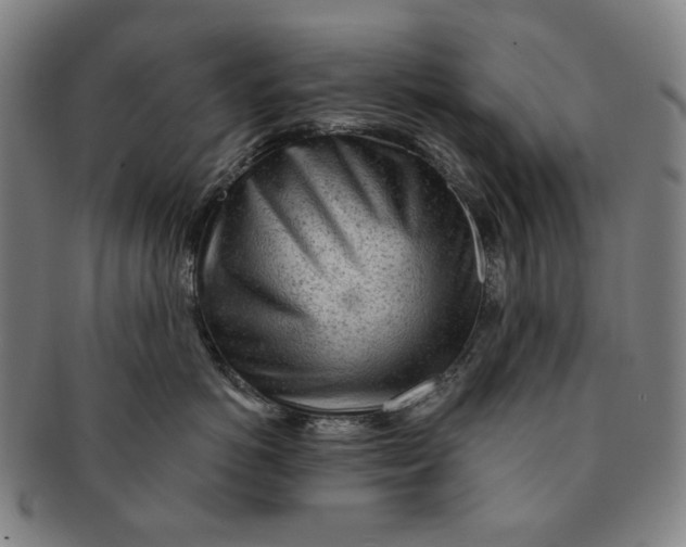 X0000091230766200708301516