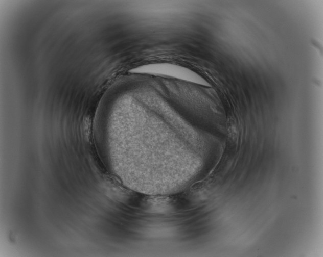 X0000091230767200708301516