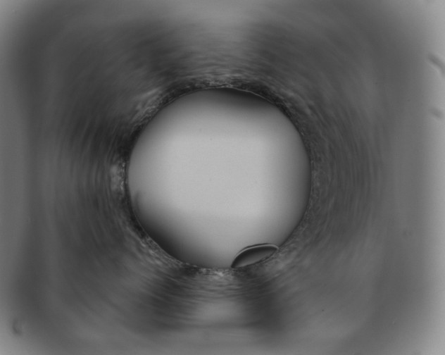 X0000091230768200708301516