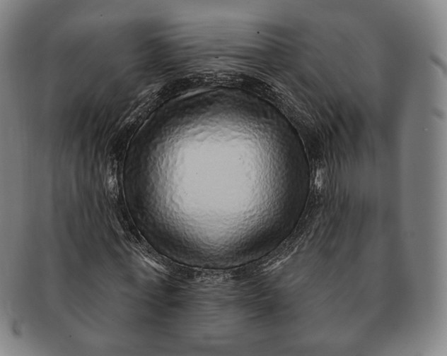 X0000091230771200708301515