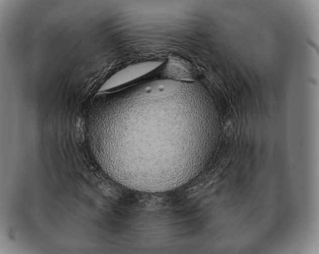 X0000091230772200708301515