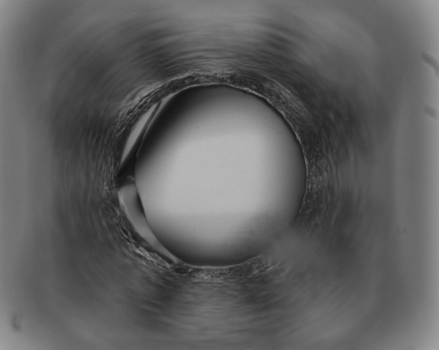 X0000091230773200708301515