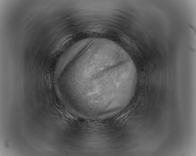 X0000091230774200708301515