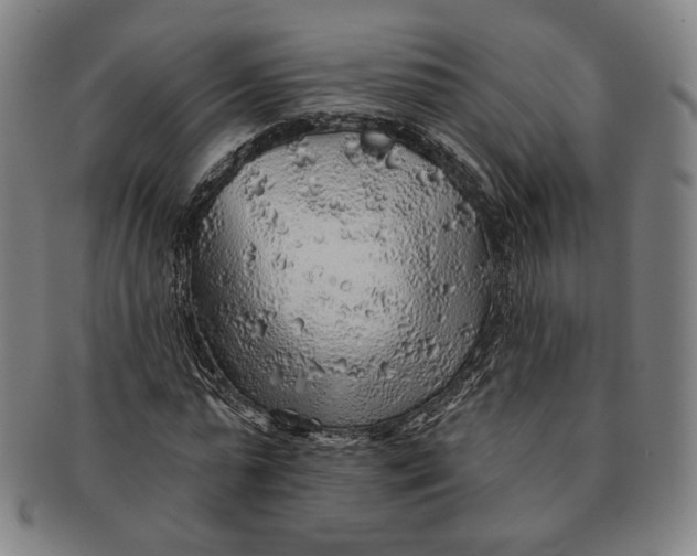 X0000091230775200708301515