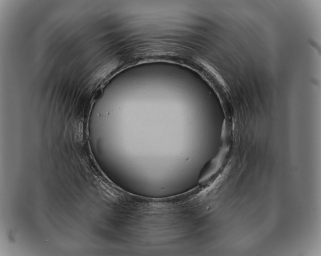X0000091230777200708301515