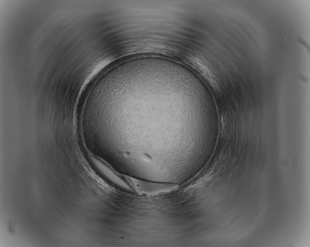 X0000091230780200708301515