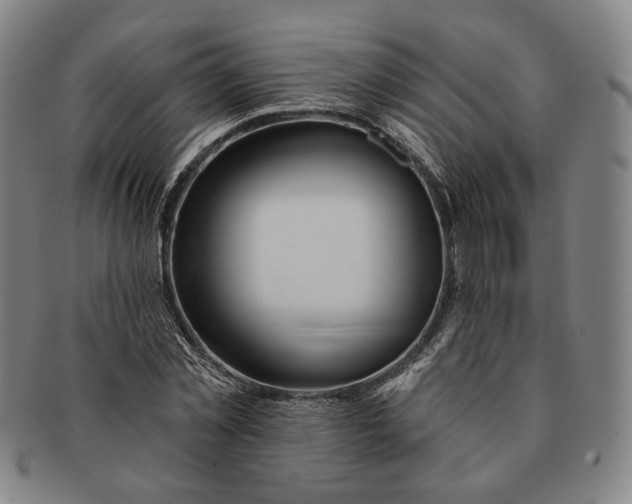 X0000091230781200708301515