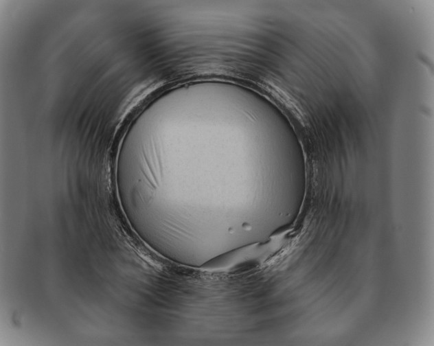 X0000091230782200708301515