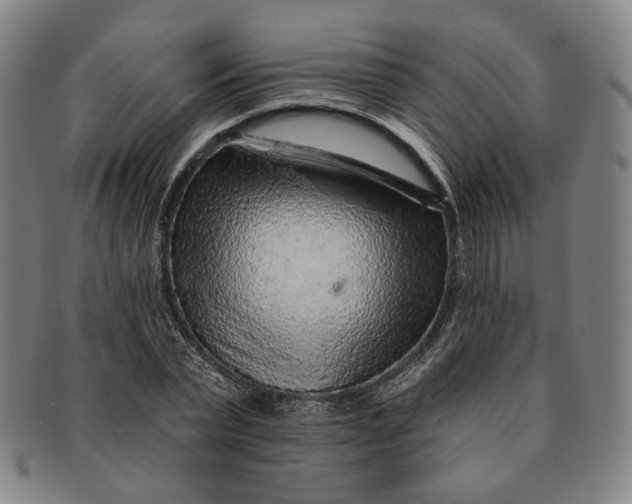 X0000091230783200708301515