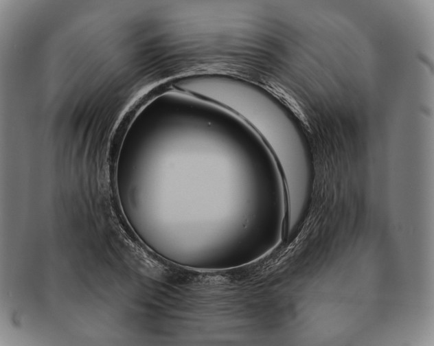 X0000091230784200708301515