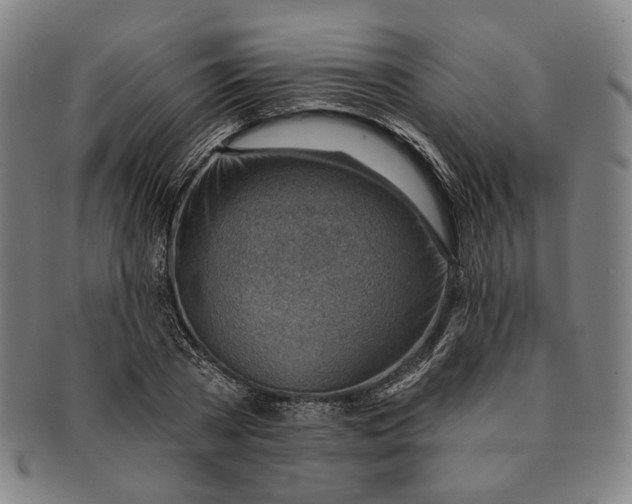 X0000091230785200708301515