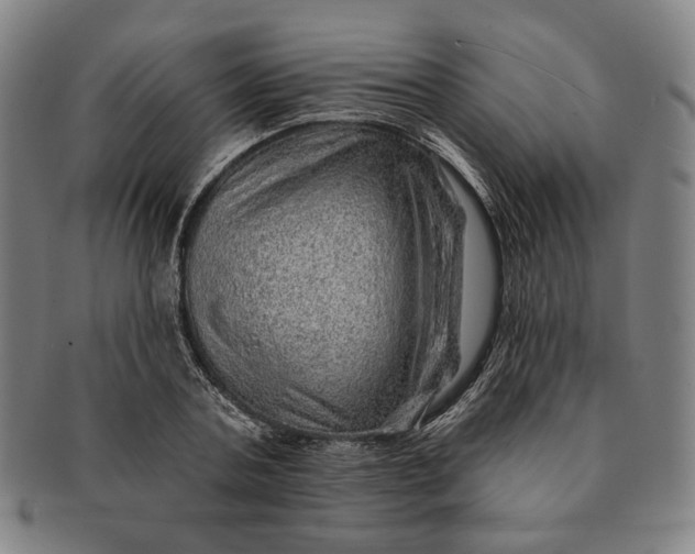 X0000091230787200708301515