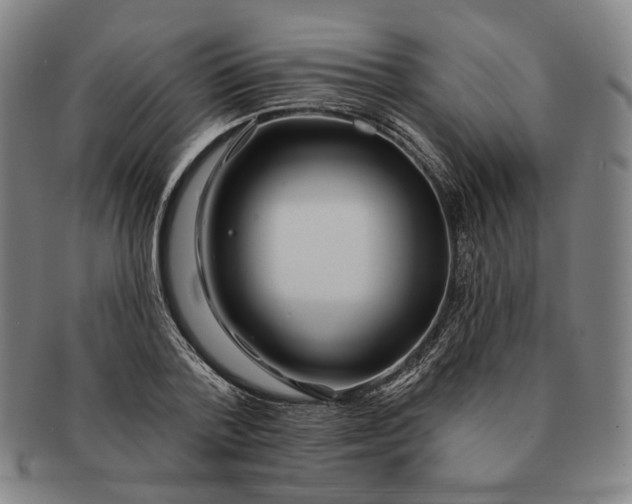 X0000091230788200708301515