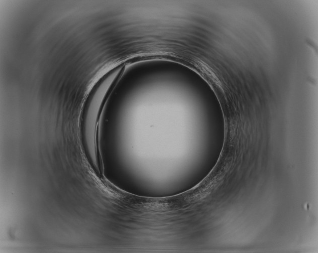 X0000091230789200708301515