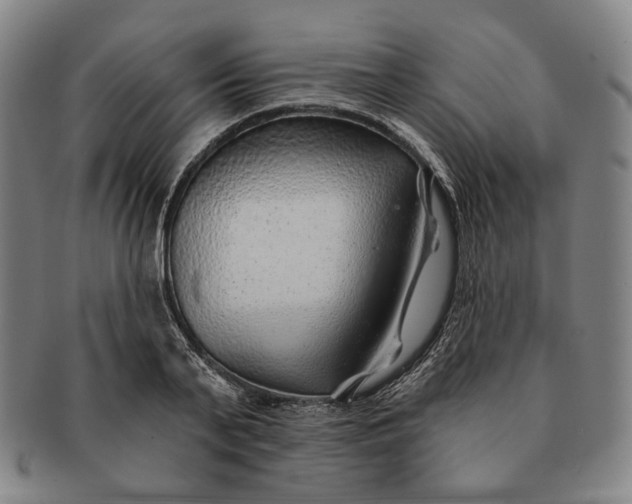 X0000091230791200708301515