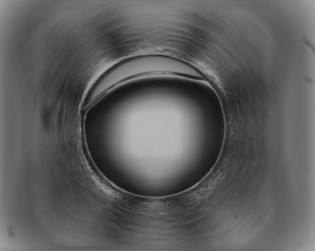 X0000091230792200708301515
