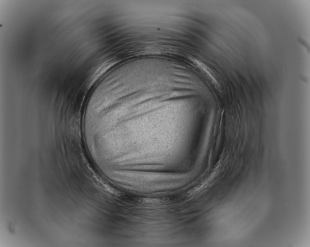 X0000091230794200708301514