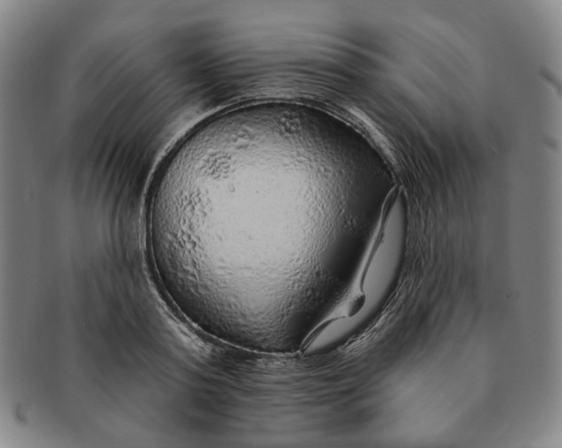 X0000091230795200708301514