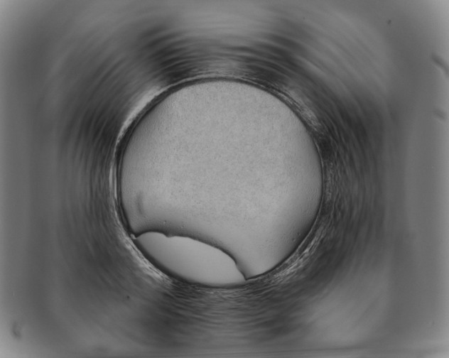 X0000091230796200708301514