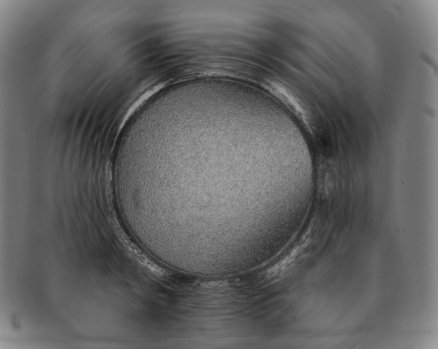 X0000091230798200708301514