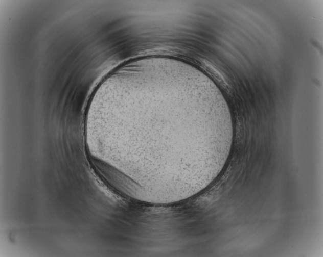 X0000091230800200708301514