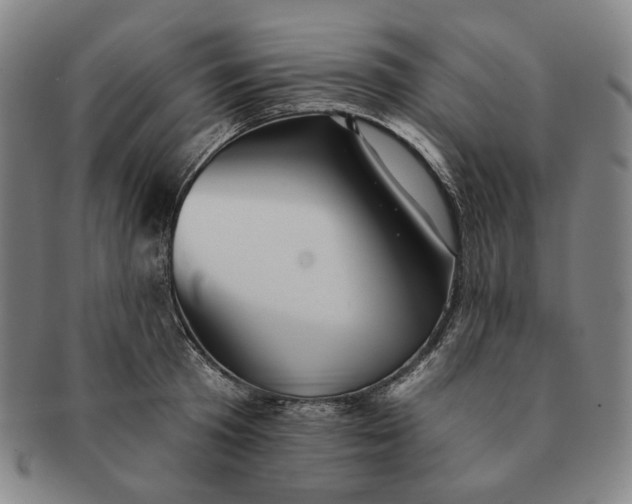 X0000091230801200708301514