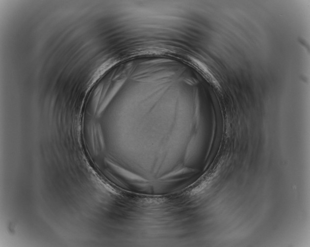 X0000091230802200708301514