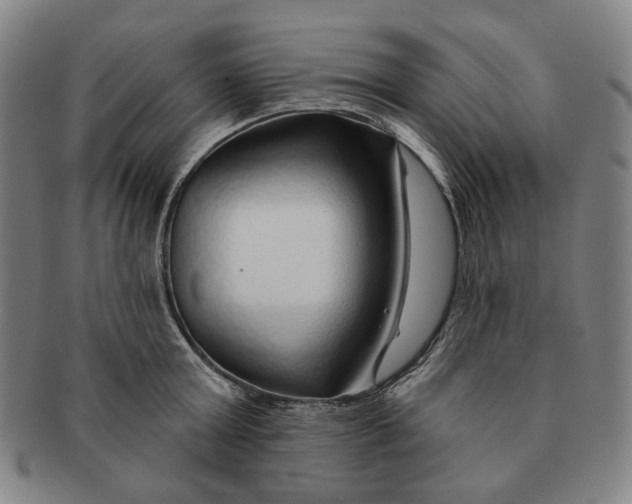 X0000091230803200708301514