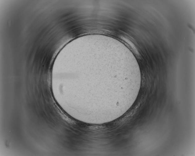 X0000091230804200708301514
