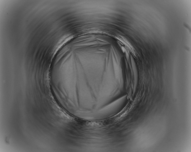 X0000091230806200708301514